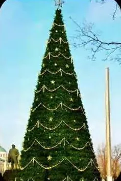 PVC Branch Christmas tree HYC-CT-22, H11m × D4.2m